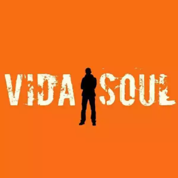 Vida-soul - The Barbarian
